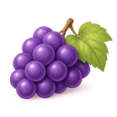 포도