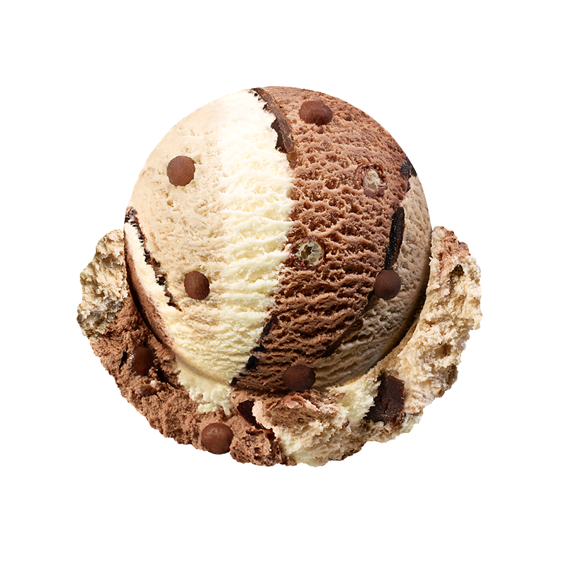 너로 정했다! 이브이